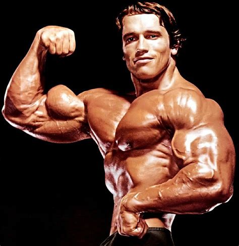 arnold bodybuilding photos